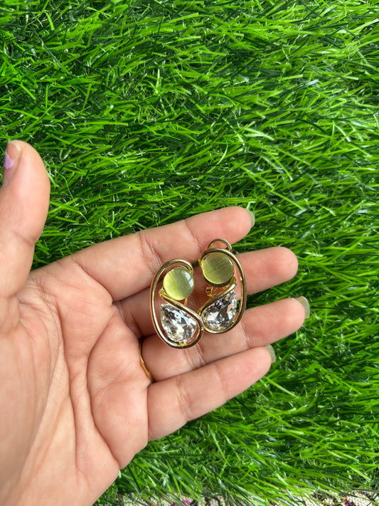 Earrings 41