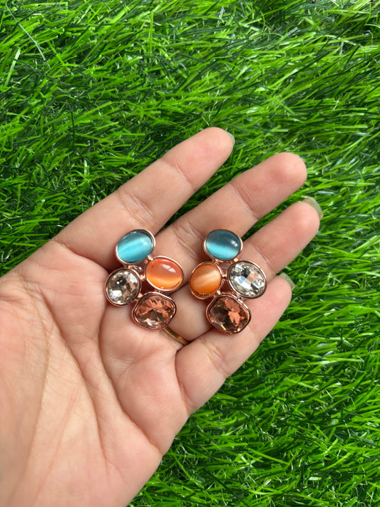 Earrings 46
