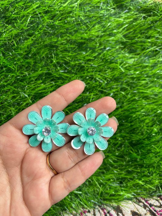 Earrings 30