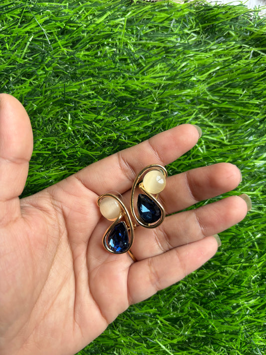 Earrings 40