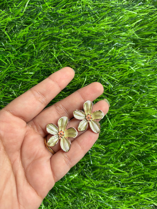 Earrings 23